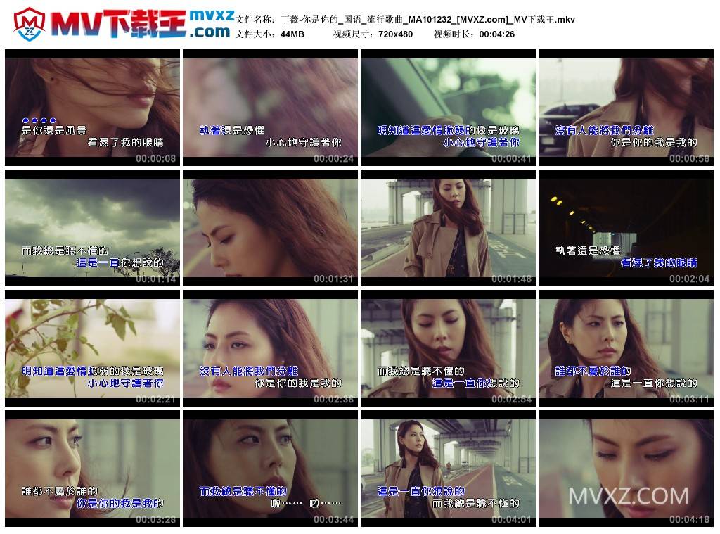 丁薇-你是你的_国语_流行歌曲_MA101232